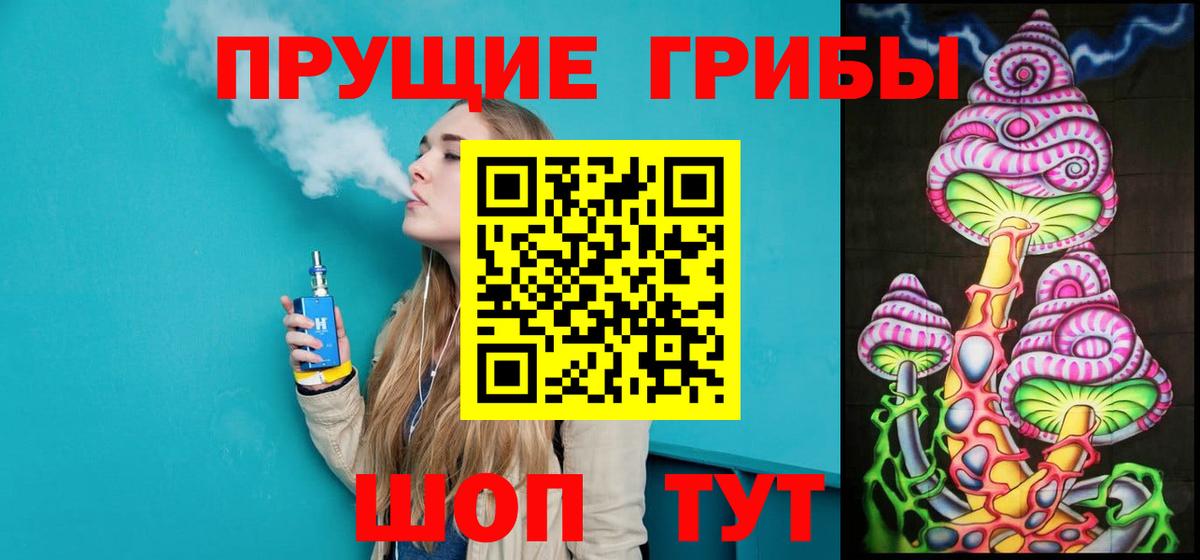Медногорск  Галлюциногенные грибы Psilocybine cubensis  Вход с VPN 